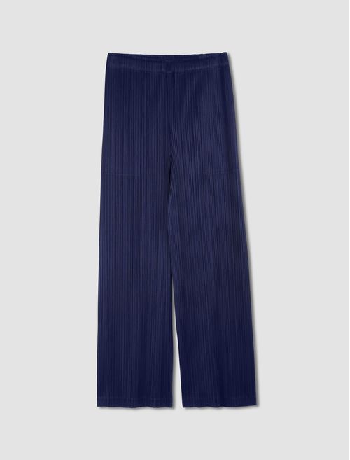 Pleated trousers